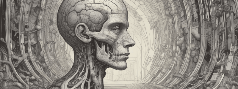 Visual Information Processing in the Retina