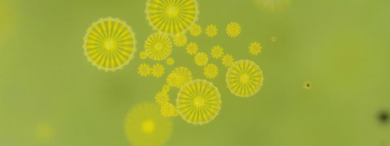 Diatoms and Golden Algae Overview