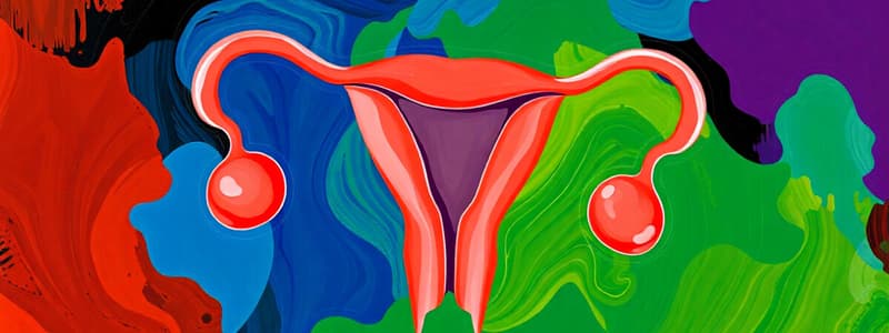 Female Reproductive System Quiz