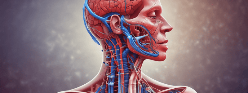 Cheyne-Stokes Breathing: Causes and Characteristics