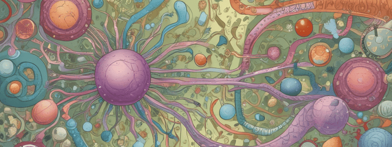 Immune Pathways Comparison