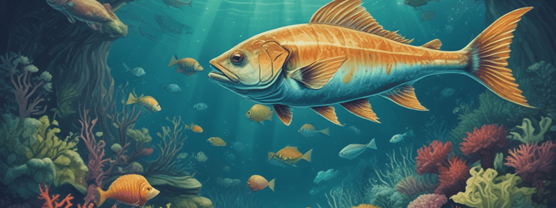 Big Fish: Types and Characteristics