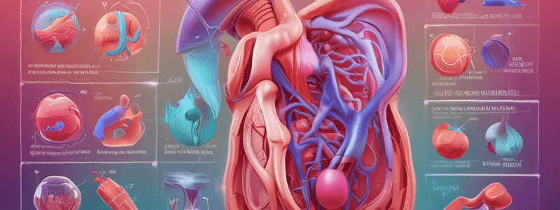 Thoracentesis and Arterial Blood Gas Quiz