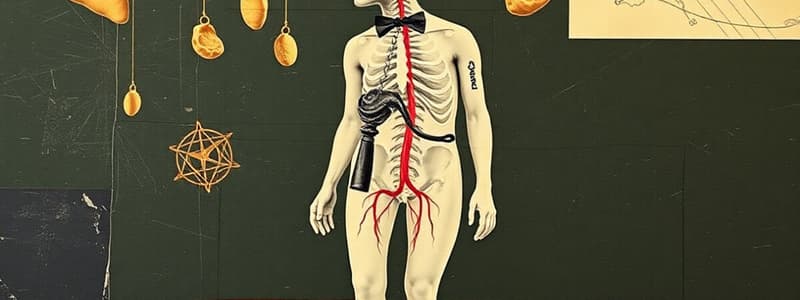 Autonomic Nervous System Overview