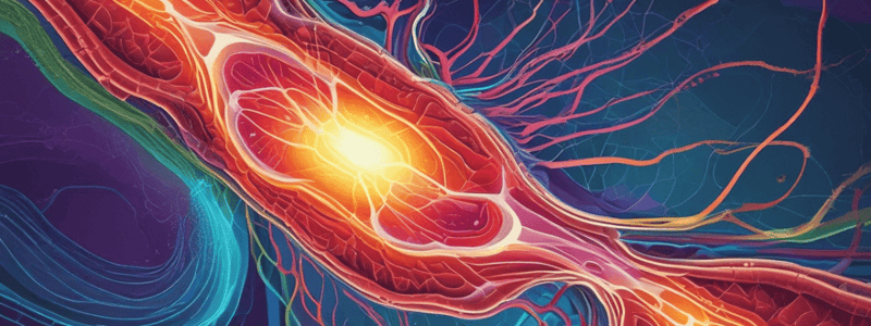 Cell Energy, Mitochondria, and Cytoskeleton Quiz