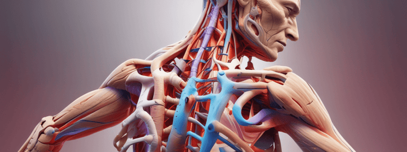 Shoulder Instability Classification and Recurrent Instability