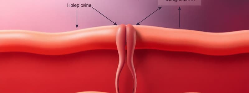 HPG Axis and GnRH Function