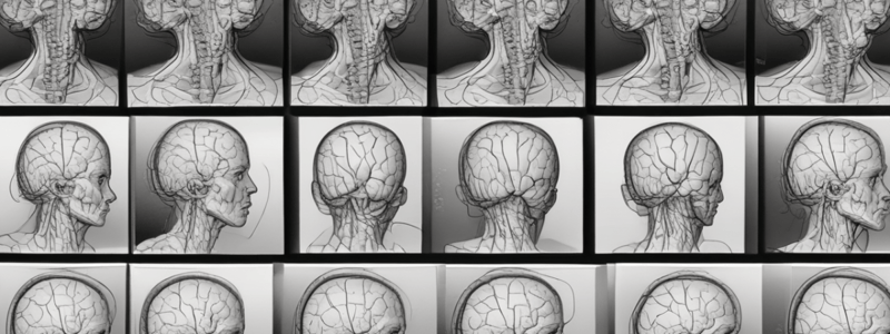 MCA Stroke Imaging