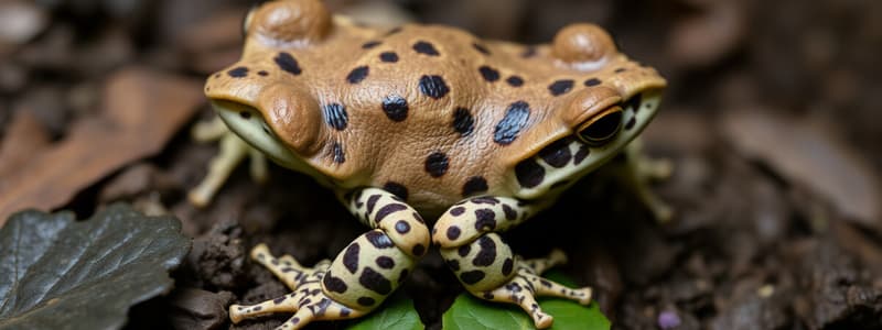 Toad Life Cycle Quiz