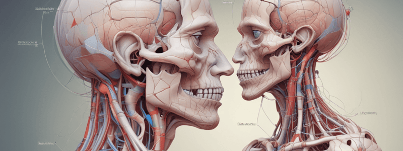 Human Anatomy Lecture 7: Orbital Region