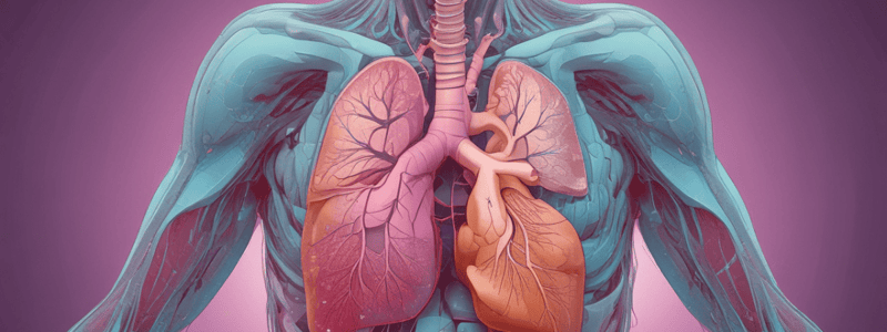 Respiratory System and Lung Sounds