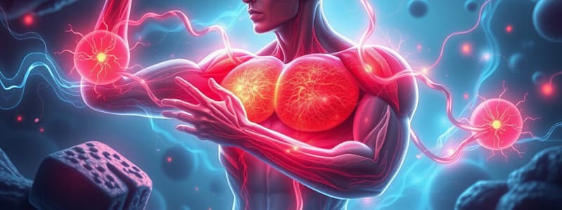 Muscle Metabolism Quiz