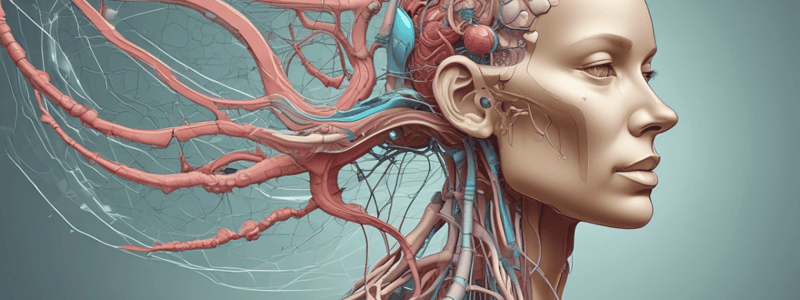 Endocrine System Quiz: Adrenal Glands and Blood Supply