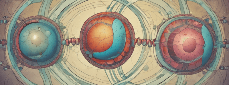 Cell Division: Mitosis and Meiosis