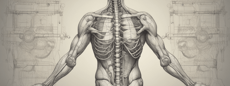 Anatomy: Directional Terms and Body Planes