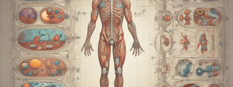 Homeostasis and Feedback Mechanisms in Biology