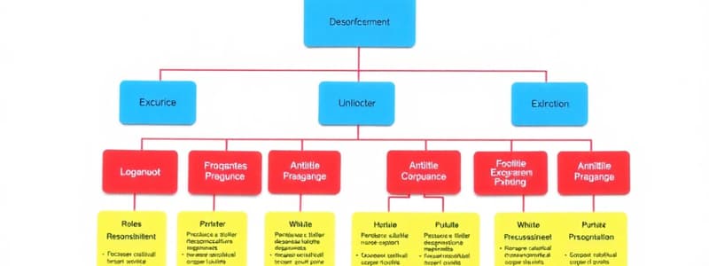 Org Structure, Roles & Responsibilities