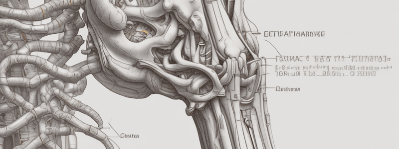 The Vertebral Column: Structure and Function