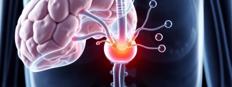 Endocrine Glands and Hormones Quiz
