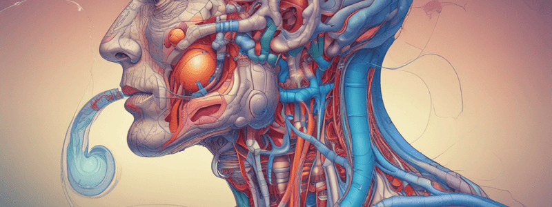 Fisiología Respiratoria: Ventilación y Respiración