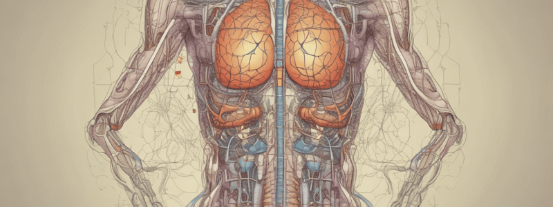 Autonomic Nervous System Essentials