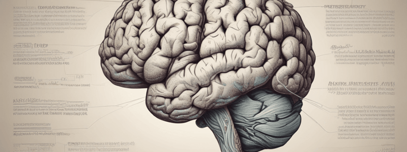 Diencephalon Structure and Components