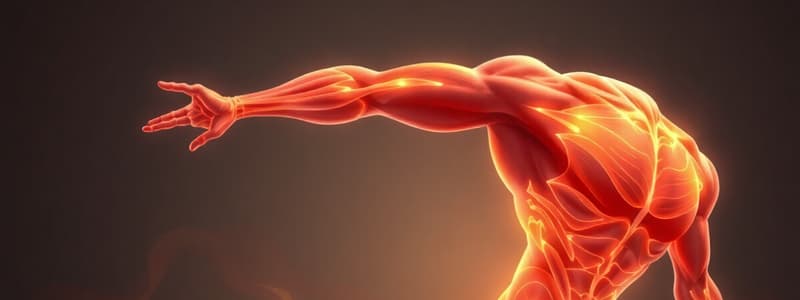 Muscle Stiffness and Thixotropy Overview