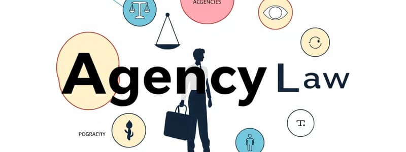 Agency Explained