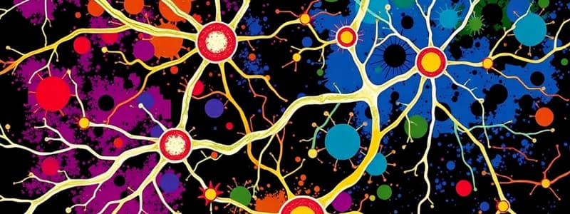 Tipos de Neuronas y Conducción del Impulso Nervioso