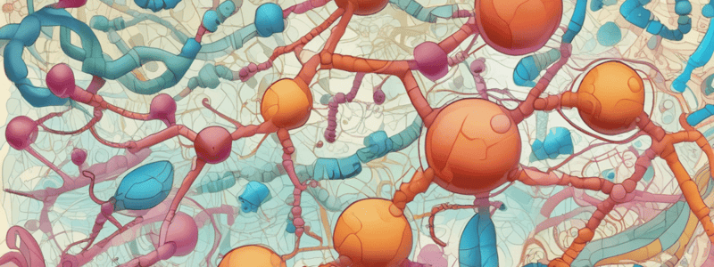 Enzymes and Their Functions