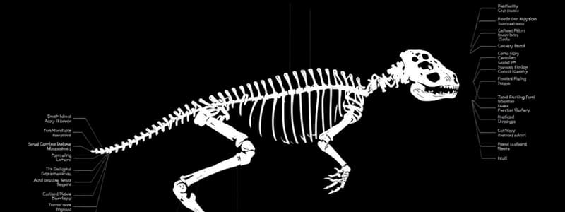 Phylogeny and Systematics