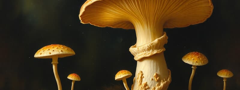 Introduction to Mycology