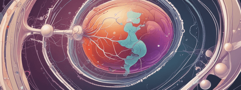 Biology of Fertilization: From Sperm to Zygote