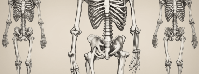 Bones of Upper Limb