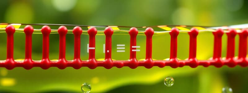 Membrane Potential and Ion Movement