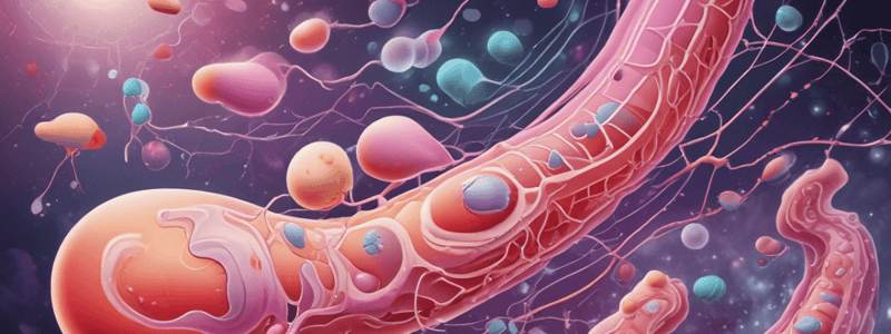 Treatment of Nephroliths and Ureteroliths