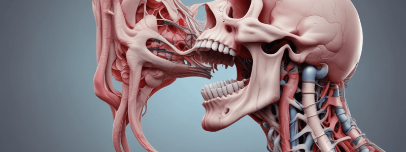 Anatomy of the Larynx Quiz