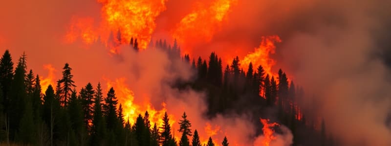 2023 Canadian Wildfires: Zombie Fires Overview