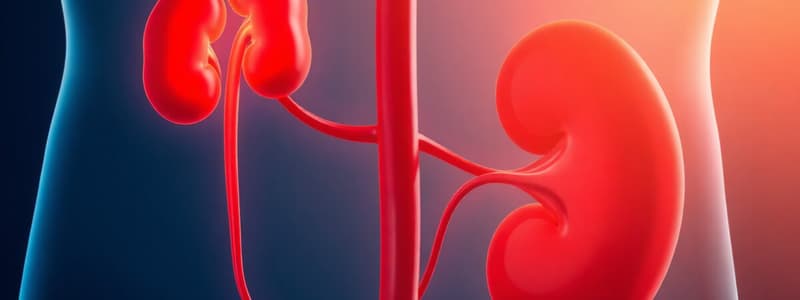 Renal Function and Failure Overview