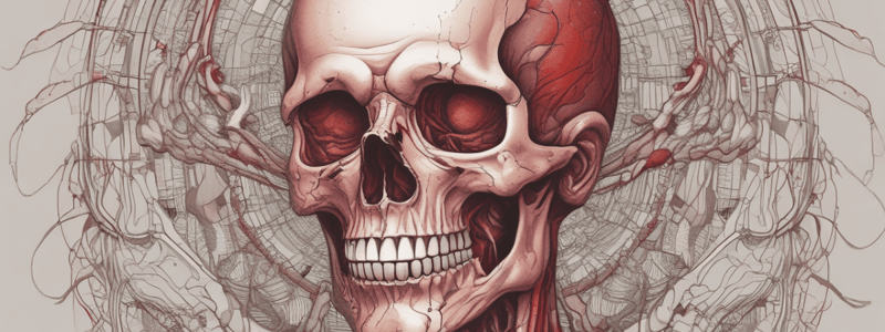 Chapter 18: Blood Composition and Physical Characteristics