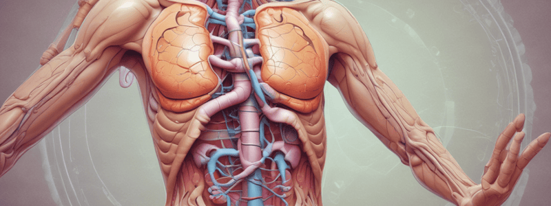 Gastrointestinal Physiology