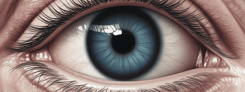 Corneal Problems and Clinical Signs