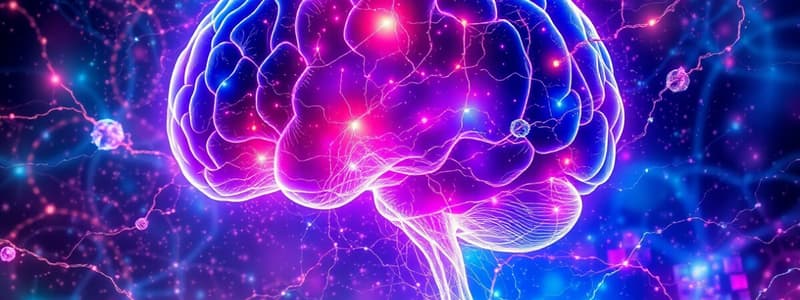 Neuroscienze e Scoperte di Helmholtz e Broca