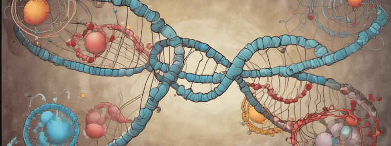 DNA and RNA Structure and Function