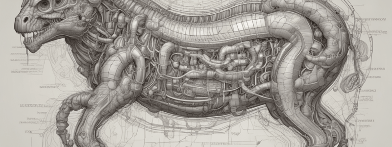 Biología: Sistema Motor