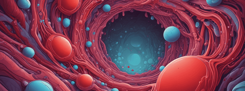 Erythrocytes: Biconcave Structure and Functions