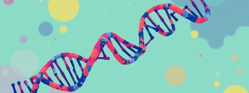 DNA and RNA Overview Quiz