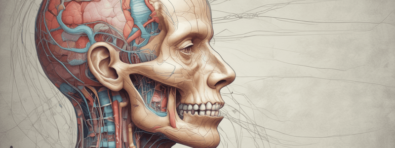 Neurology: Cranial Nerves Introduction