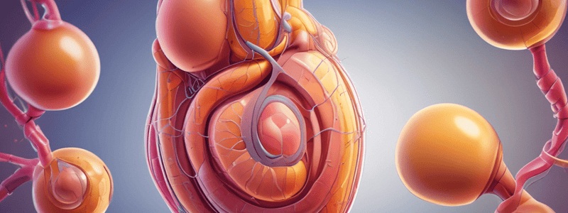 Urinary System Function and Disorders Quiz