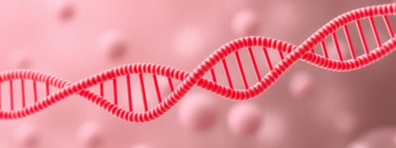 Biology Chapter on Transcription and RNA Types